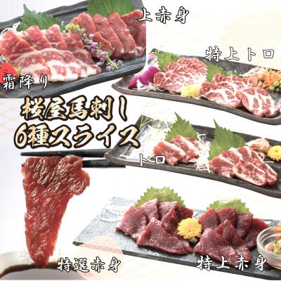 ふるさと納税 津奈木町 馬刺しスライス6種 特上トロ・トロ・霜降り・特選赤身・特上赤身・上赤身(各100g)(津奈木町)