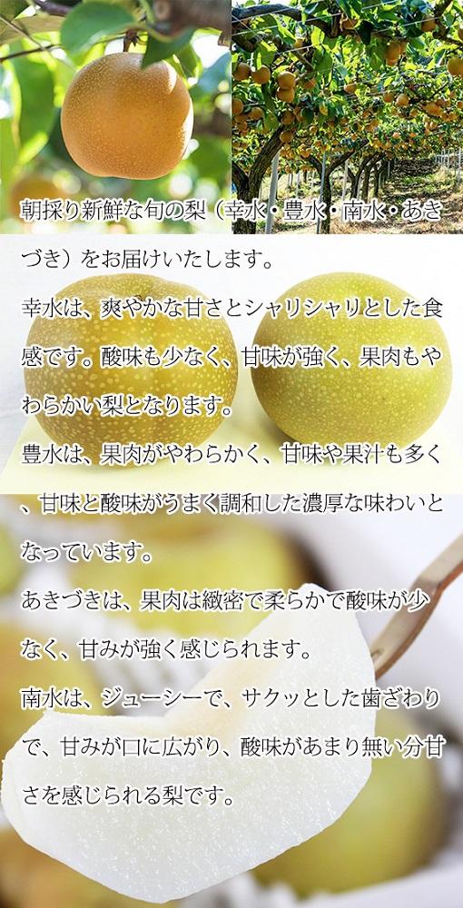 ジューシー果汁の紀州有田産の梨約２kg 　化粧箱入【先行予約】【2025年8月下旬以降発送予定】 AN029_イメージ4
