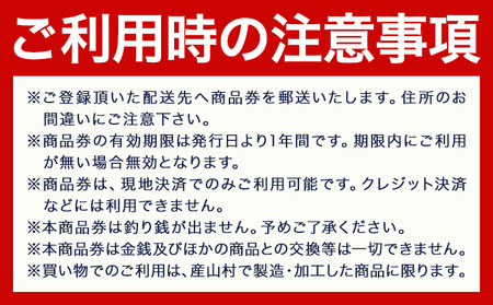 産山村観光商品券 10,000円 熊本 阿蘇