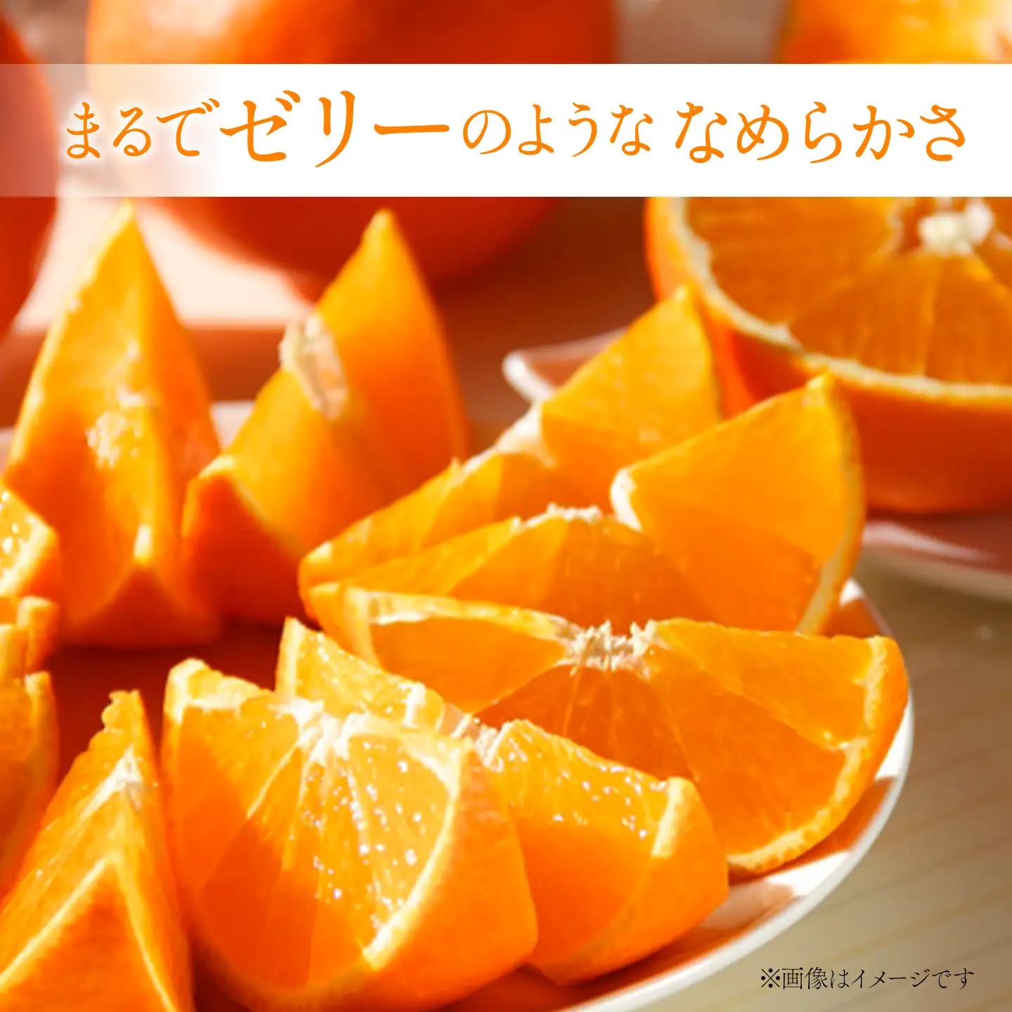 紅まどんな（秀品3kg 化粧箱）【11月下旬～12月発送】柑橘 愛媛 まどんな