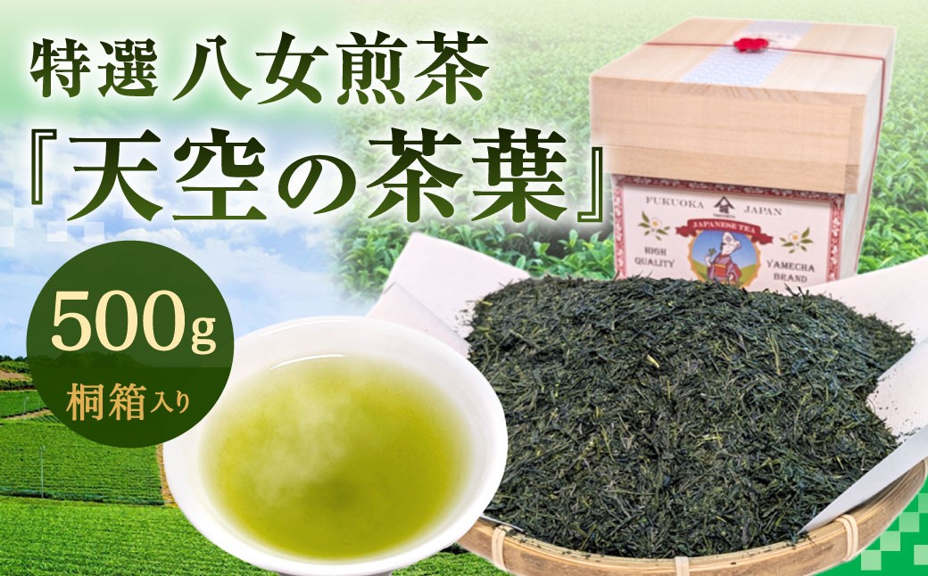 
                  【2026年4月下旬発送開始】特選八女煎茶「天空の茶葉」桐箱入り 500g（約1.5ヵ月分）緑茶 煎茶 お茶 八女茶 国産茶 国産
                
