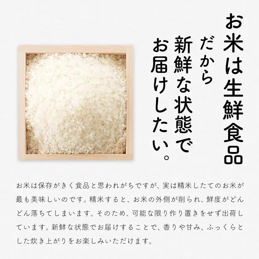 夢つくし 令和7年産 5kg 白米 《1-14日以内に出荷予定(土日祝除く)》 お米 ごはん ご飯 rice kome