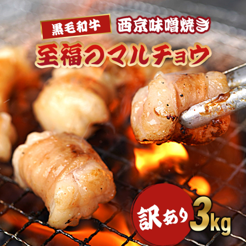 【訳あり】 黒毛和牛 丸腸 3kg 西京味噌焼き 国産 ホルモン 100g 小分け パック