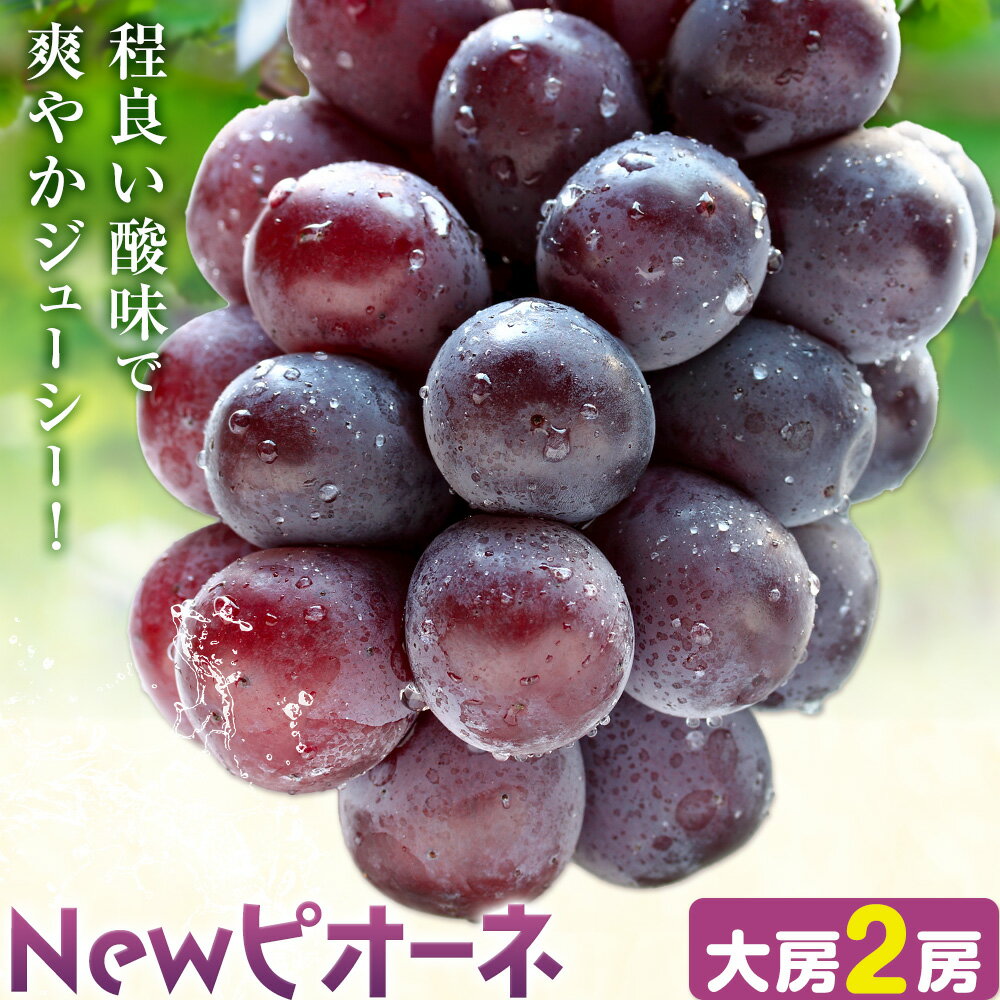 【ふるさと納税】ぶどう New ピオーネ 大房 2房入り ふじまる《8月下旬-9月下旬頃出荷》岡山県 笠岡市 送料無料 葡萄 フルーツ 果物 ニューピオーネ お取り寄せフルーツ