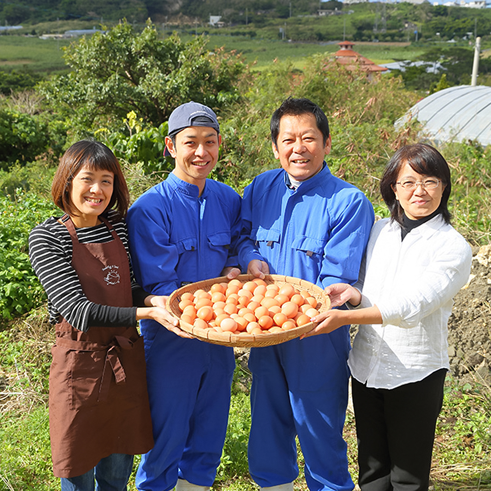 【定期便】12ヵ月連続お届け　美ら卵養鶏場の卵　各月60個_イメージ5