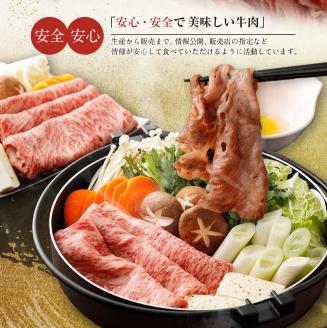 博多和牛　ローススライス（６００ｇ）（有）ヒロムラ