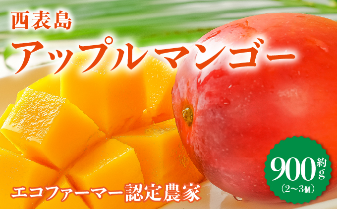 2025年6月中旬発送予定。『箱を開けた瞬間から、至極のひと時を』西表島プレミアムマンゴー900g