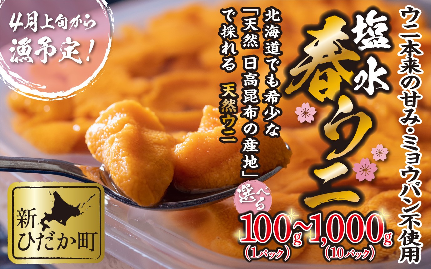
                  ＜ 4月30日までの受付 ＞ うに 北海道 選べる 容量 100g ～ 1kg  使用するのは塩水のみ 日高沖産 塩水 生雲丹 春ウニ エゾバフンウニ 今が旬
                