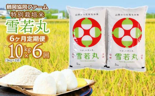 【令和7年産先行予約】 特別栽培米雪若丸 10kg (5kg×2袋) ×6ヶ月【定期便】 山形県鶴岡産　鶴岡協同ファーム