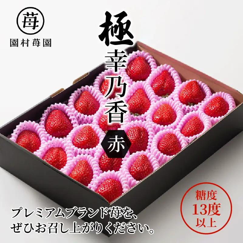 【先行受付】3月発送 園村苺園 ★糖度13度以上保証★ブランド苺「極幸乃香（きわみさちのか）」500ｇ_U74-0049_03