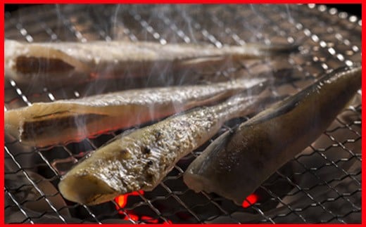 A-30012【年内配送可】 【北海道根室産】一夜干しこまい200g×10袋