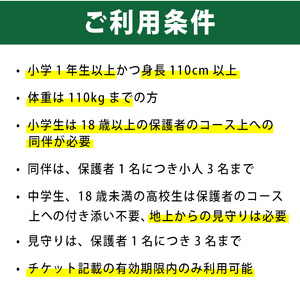 No.1323-B フォレストアドベンチャー・吹上浜＜トレックコース＞体験チケット(4名・90分) 体験 体験チケット チケット フォレストアドベンチャー アクティビティ 非日常 冒険 スポーツ 自然