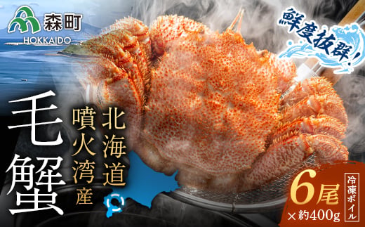 北海道・噴火湾産 冷凍ボイル毛ガニ 400g前後×6尾＜海鮮問屋　株式会社　瑞宝＞ かに カニ 蟹 ガニ がに 森町 ふるさと納税 北海道 毛蟹 毛かに 毛ガニ 毛カニ mr1-0511