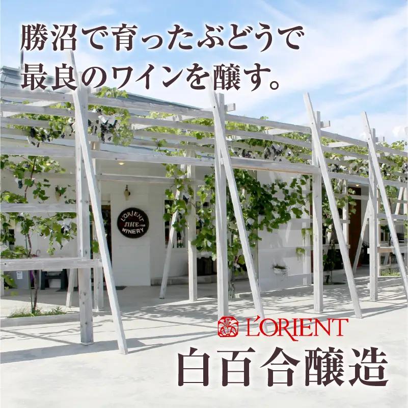 ワイン ロリアン ヴァンムスー ベーリーＡ ロゼ（スパークリング）（LRT）A09-763