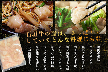 希少な特選石垣牛のホルモンをご家庭で！！マルチョウ300g×4パック【 沖縄 石垣 和牛 石垣牛 希少 特選 肉 ホルモン マルチョウ 冷凍 小分け 】IM-14