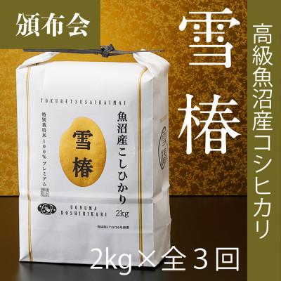 ふるさと納税 津南町 【毎月定期便】高級魚沼産コシヒカリ「雪椿」精米 2kg(2kg×1袋) 特別栽培米全3回