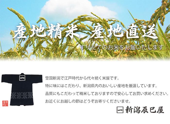 新潟コシヒカリ 令和7年産 精米3kg