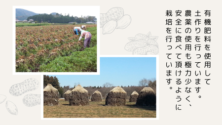 おおまさり 煎り落花生 合計480g (240g×2袋) 【2025年11月上旬から発送開始】 簡易包装 ポスト投函 ご自宅用 ピーナッツ 落花生 おつまみ おやつ お菓子 ナッツ [BB013sa]
