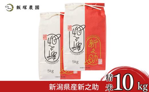新潟県産新之助10kg 令和7年産 新之助 2025年産 新之助 白米 [飯塚農園]  【028S046】