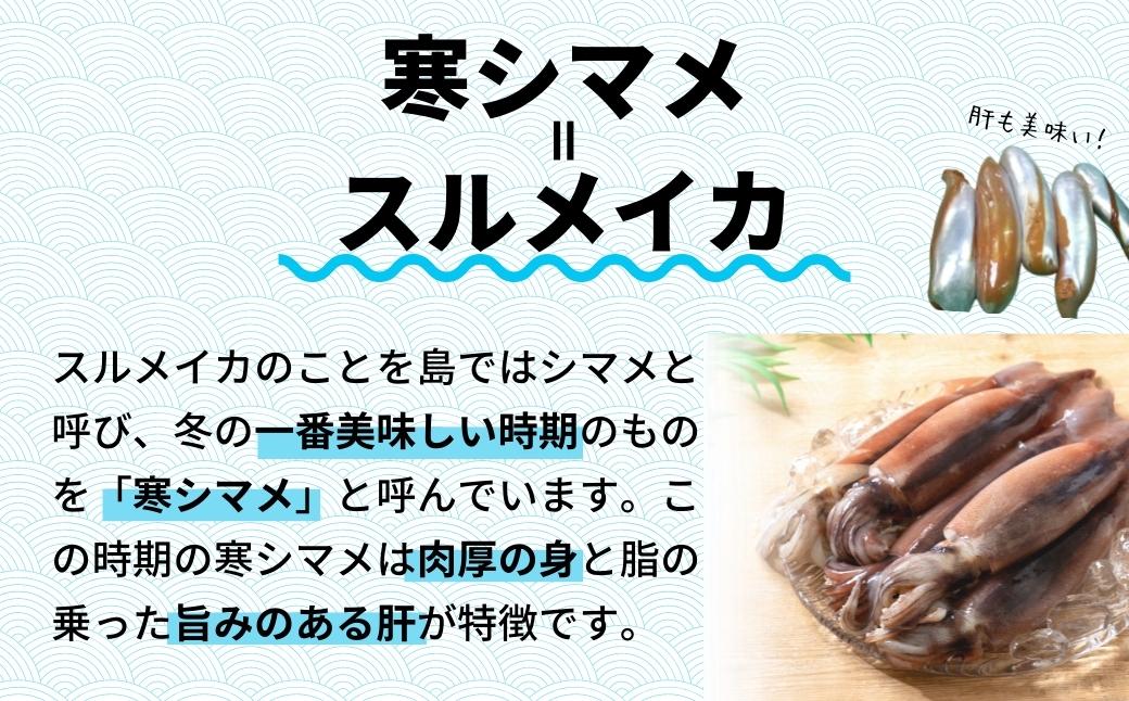 今が旬！朝どれ寒シマメ特大サイズ（350-400g）丸ごと4杯セット 1.4kg〜1.6kg