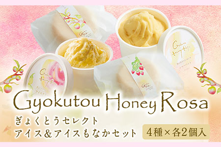 ぎょくとうセレクト アイス＆アイスもなかセット(4種×各2個入) 《60日以内に出荷予定(土日祝除く)》 熊本県玉名郡玉東町 すもも ハニーローザ いちご アイス もなか ぷらっとぎょくとう---sg_fgkticemonaka_60d_14500_12p---