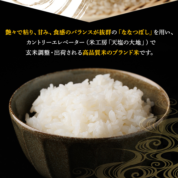 ＜定期便・全6回＞令和7年産 新米 JAブランド米 氷点の舞 ななつぼし (10kg×6回) 新米 米 お米 北海道米 北海道産 北海道米 士別市産 ごはん 精米 白米 10kg 60kg 定期便 【