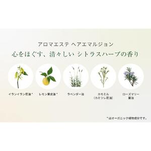 ラ・カスタ アロマエステ ヘアエマルジョン 本体(80ml)＆リフィル（詰め替え）(140ml) セット | ラカスタ La CASTA ヘアケア シャンプー リンス コンディショナー