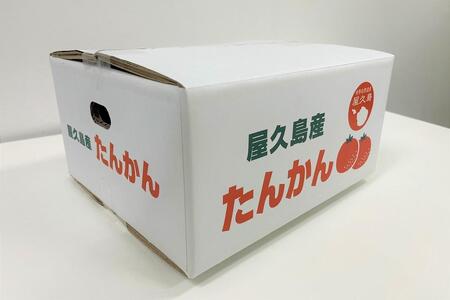 2026年 屋久島産たんかん自家用(訳あり品) 約4.5kg(S～2Lサイズ・少々キズあり)＜先行予約／数量限定＞