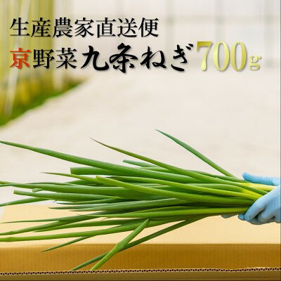 【ふるさと納税】生産農家直送 京野菜・九条ねぎ700g〈ねぎ ネギ 葱 九条ねぎ 京野菜 京都 新鮮 甘い 農家直送 野菜〉 京都府産 薬味 料理 食材