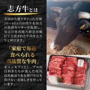 志方牛カルビ焼肉(500g)〈牛肉 牛 和牛 国産 焼肉 おすすめ カルビ 赤身 美味しい バーベキュー 志方牛 プレゼント ギフト 送料無料 お取り寄せ〉