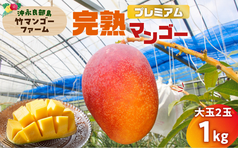 竹マンゴーファームのプレミアム完熟マンゴー1キロ（大玉２個入り）