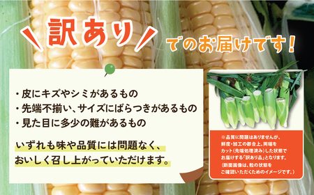 【 訳あり 】下妻産 朝採り とうもろこし （ ミエルコーン ） 約6kg 【 とうもろこし とうきび トウモロコシ ジューシー 甘い 蜂蜜 はちみつ ミエル Miel スイーツ デザート ミエルコー