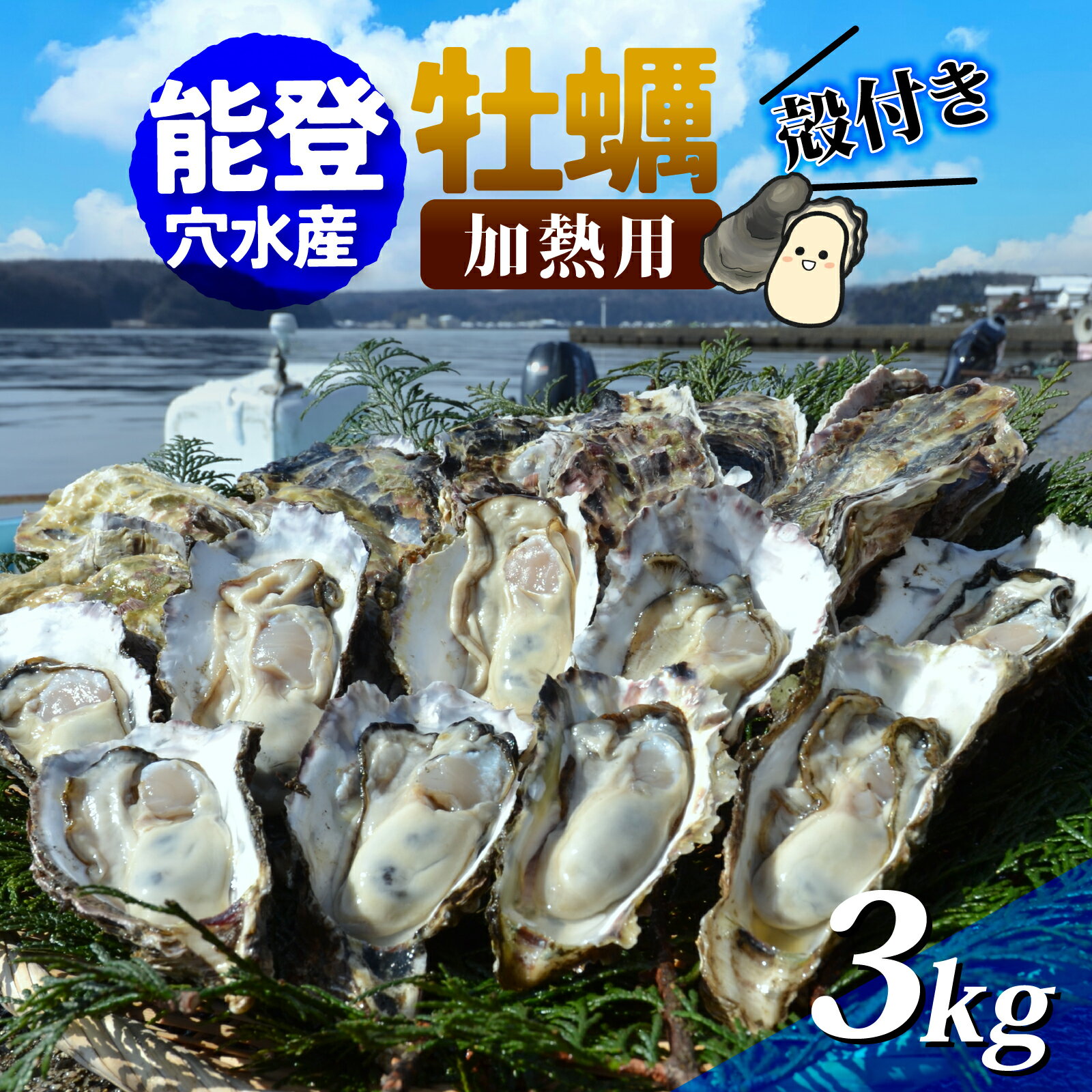 【ふるさと納税】【先行予約】能登穴水の牡蠣（殻付）加熱用 3kg【2026年2月以降順次発送】 |奥能登 能登半島 冷蔵 真牡蠣 3キロ ナイフ付き 肉厚 殻付き 海鮮 魚介類 海産物 バーベキュー BBQ 貝 オイスター 送料無料