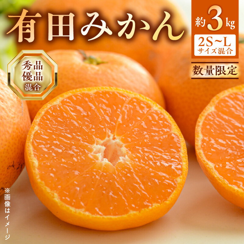 【ふるさと納税】【先行予約】 数量限定 期間限定 有田みかん 約 3kg 2S~Lサイズ サイズ混合 30個 前後 秀品 優品 紀州 有田 みかん 温州みかん フルーツ 果実 甘み 酸味 絶妙 バランス 果物 柑橘 国産 食品 食べ物 マルシ農園 お取り寄せ 和歌山県 湯浅町 送料無料