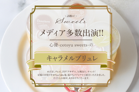 キャラメル ブリュレ プリン 6種×1個 計6個 セット 3回 定期便 総計18個