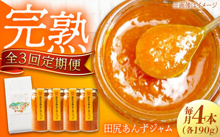 【全3回定期便】 田尻完熟あんずジャム (4本) [BAFL008]ジャム