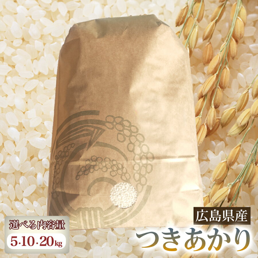 【ふるさと納税】つきあかり 【選べる容量】5・10・20kg 米 お米 ご飯 ごはん 白米 精米 238013-r