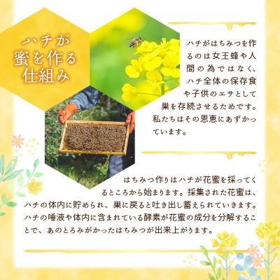 ふるさと納税 千代田町 《2026年2月発送》 はちみつ 【千代田町の蜂蜜】600g 百花蜂蜜 ch011-001r-02 |  | 02