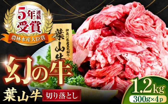葉山牛 切り落とし300g×4パック 計1.2kg【株式会社羽根】 [AKAG003]