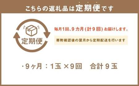 【9ヶ月定期便】 訳あり 静岡県産 アローマメロン 1玉 （1玉 約1.0kg以上） （合計9玉） 9回定期便 訳アリ 理由あり わけあり メロン 青肉メロン ブランドメロン 果物 果実 フルーツ 定