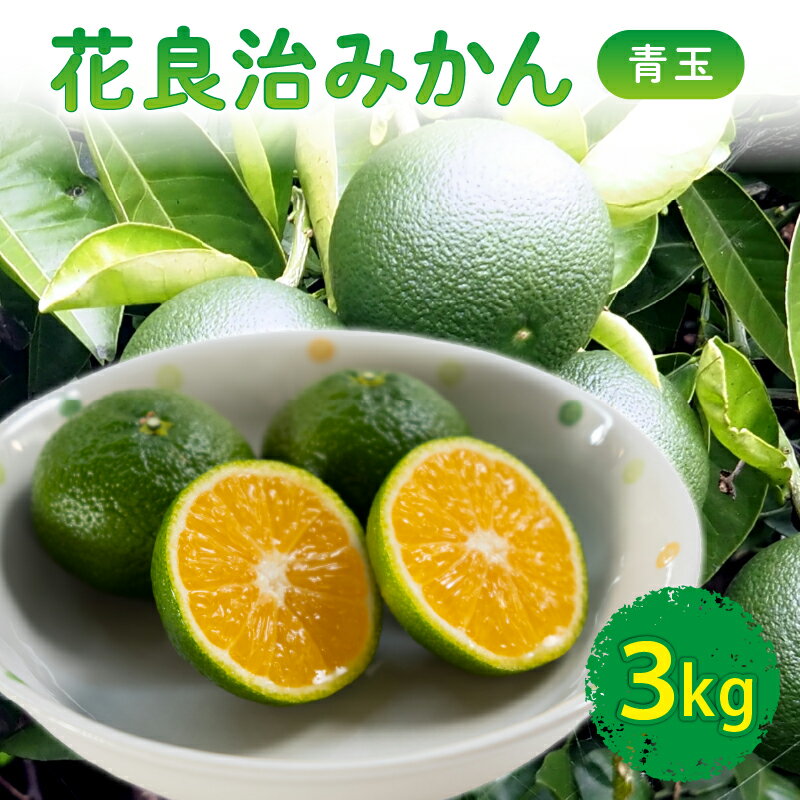 【ふるさと納税】 【10月下旬より出荷開始】 数量限定 花良治みかん 青玉 3kg ケラジ ミカン 柑橘 果物 くだもの 季節限定 期間限定 数量限定 旬 限定 国産 贈答 ギフト 贈り物 プレゼント 高知県 室戸市
