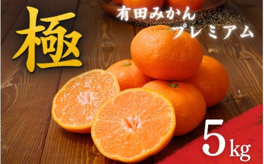 ＼光センサー選別／極 有田みかんプレミアム 約5kg【光センサー 高糖度選別品】2S～Lサイズ 有機質肥料100% ※2025年11月下旬頃～2026年1月上旬頃に順次発送予定 ※北海道・沖縄・離島への配送不可 【nuk155E】