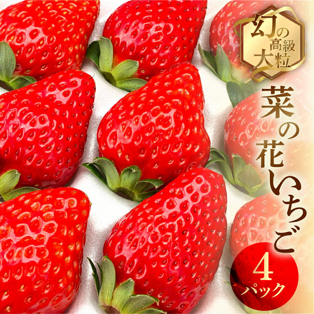 【ふるさと納税】先行予約 菜の花いちご6〜8粒入 4パック 大粒 イチゴ いちご 苺 くだもの フルーツ 贅沢品 贈答品 高級品 ブランド 先行予約 お取り寄せ 田原市 産地直送 送料無料 事前予約 安田農園 品種お任せ 激甘 あきひめ 紅ほっぺ さがほのか