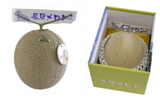 【数量限定】飛騨メロン 1玉 2L～3Lサイズ (約1.5kg)  化粧箱入 21-326 7月中旬まで受付 CY032