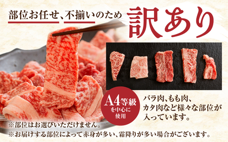 【2週間～発送】 訳あり 飛騨牛 焼き肉用 1㎏ 切り落とし 牛肉 肉 バーベキュー セット 和牛 焼肉 訳アリ 部位おまかせ ウデ バラ モモ肉 25000円 [S201]