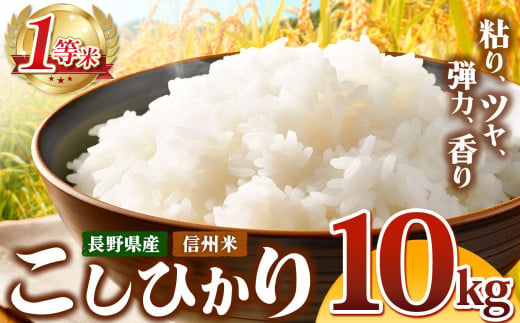 信州米 こしひかり 白米 10kg 長野県産 | 米 コシヒカリ 白米 精米 お米 信州米 10kg 特産品 塩尻市 長野県 信州 