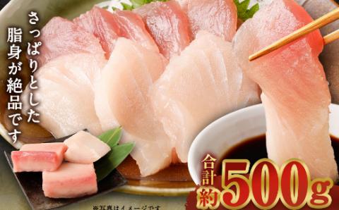【室戸市】 厳選 トロビンチョウ 鮪 500g