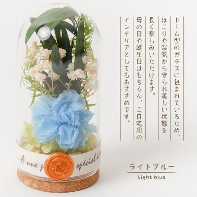 ふるさと納税 羽島市 プリザーブドフラワー ガラスドーム型アレンジ 【イネス ミニ(ライトブルー)】 |  | 01