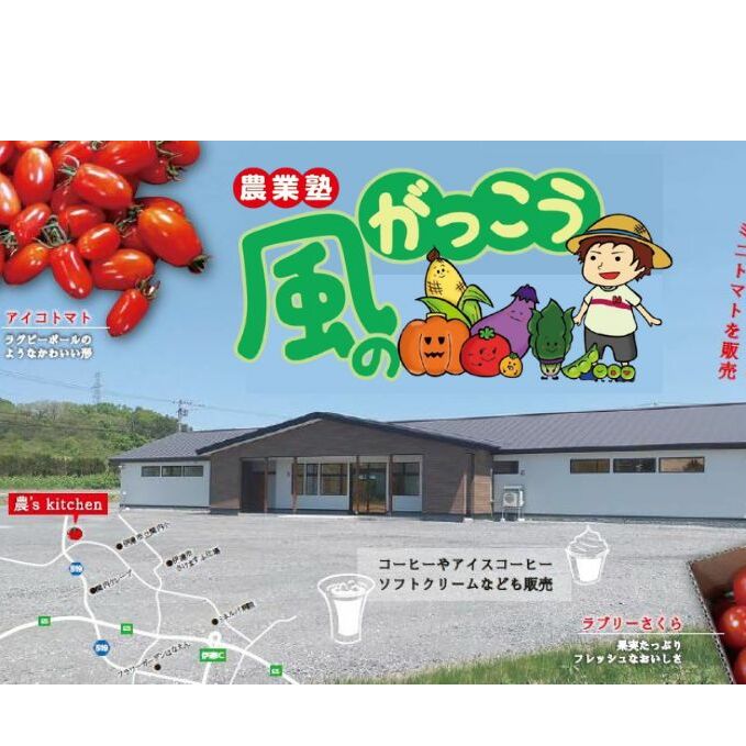 【 2025年 発送 】先行予約 北海道 伊達 ミニトマト うま アイコ 約3kg  ジューシー プチ トマト 甘い 濃厚 彩り 鮮やか 野菜 産地直送_イメージ3