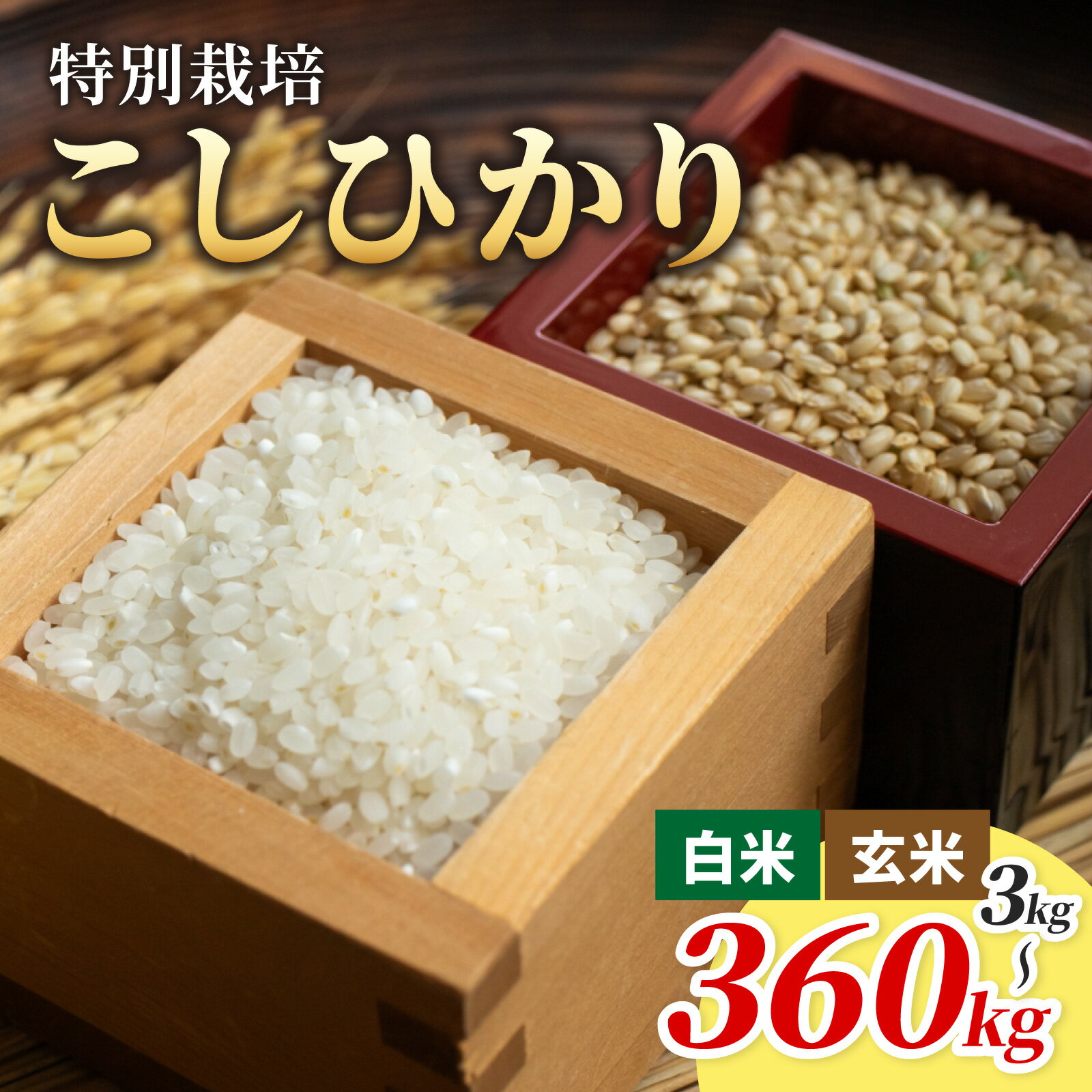 【ふるさと納税】【選べる精米方法・内容量・お届け回数】【令和7年産】減農薬・減化学肥料 「特別栽培米」こしひかり－地球にやさしいお米－[B-003007]　 米定期便 福井県 福井 大野市